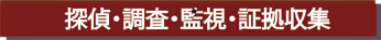 _˂̒T㎖